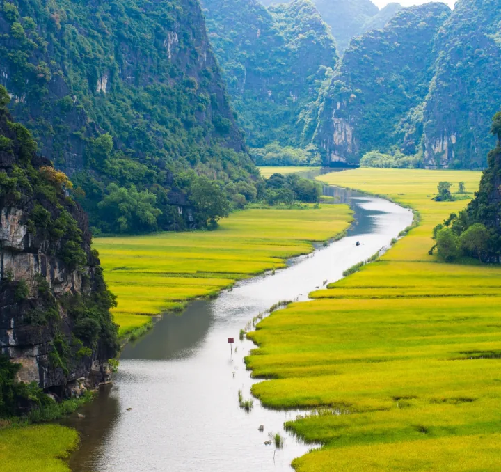 Vietnam