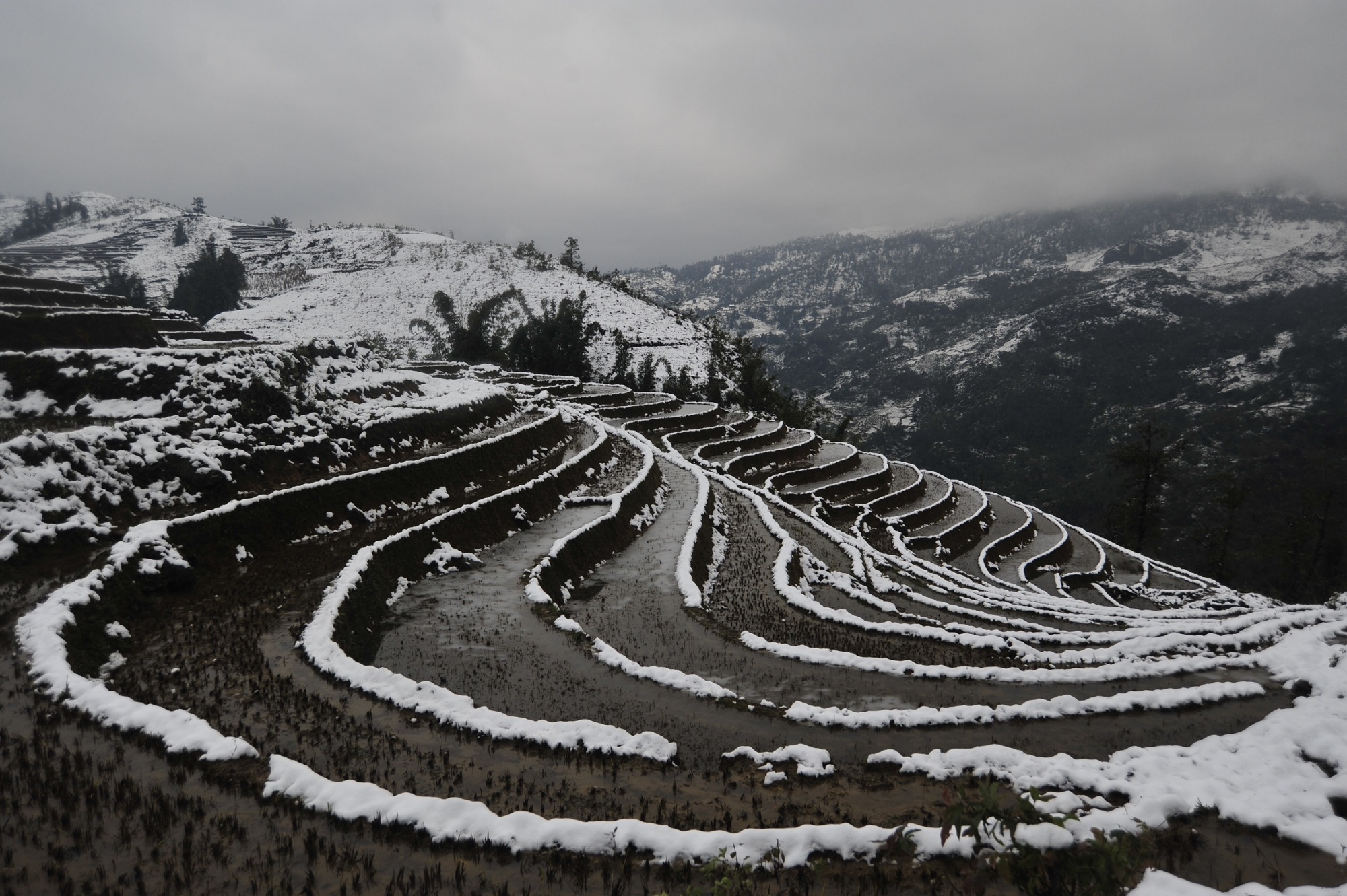 Winter snow in Sapa