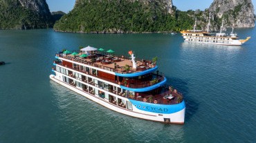 Cycad Cruise Halong Bay