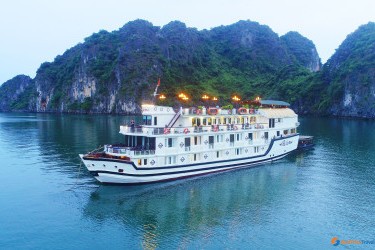 Paloma Cruise