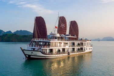 Orchid Trendy Cruise