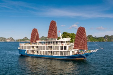Verdure Lotus Classic Cruise