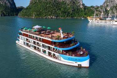 Cycad Indochine Cruise