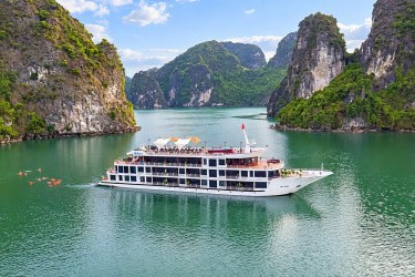 Aspira Cruises