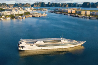 Paradise Delight Cruise