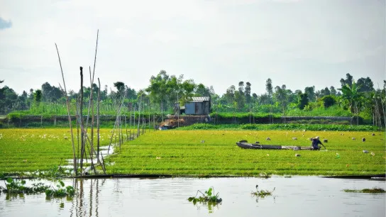 Enjoy the greeness riverside