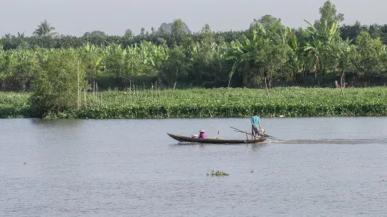 The green and natural riverbank