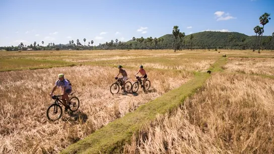 Biking Excursion with Your Fellows