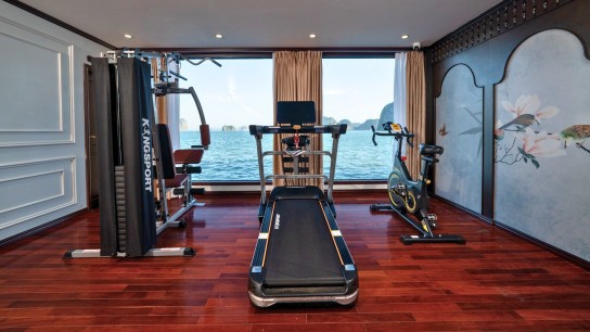 Cycad Cruise: Gym area with Bay view