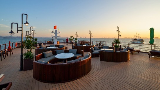 Cycad Cruise: Vast sundeck