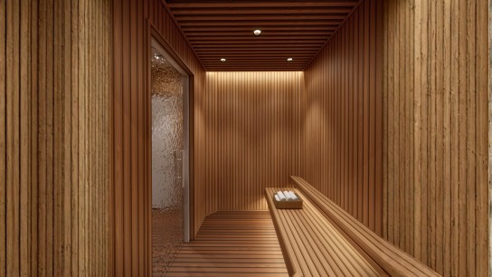 Red Dragon Junk: Steam Room