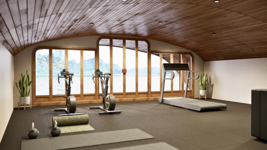 Red Dragon Junk: Fitness Room