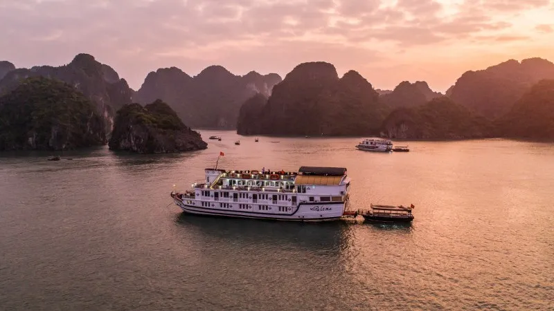 Paloma Cruise Halong Bay