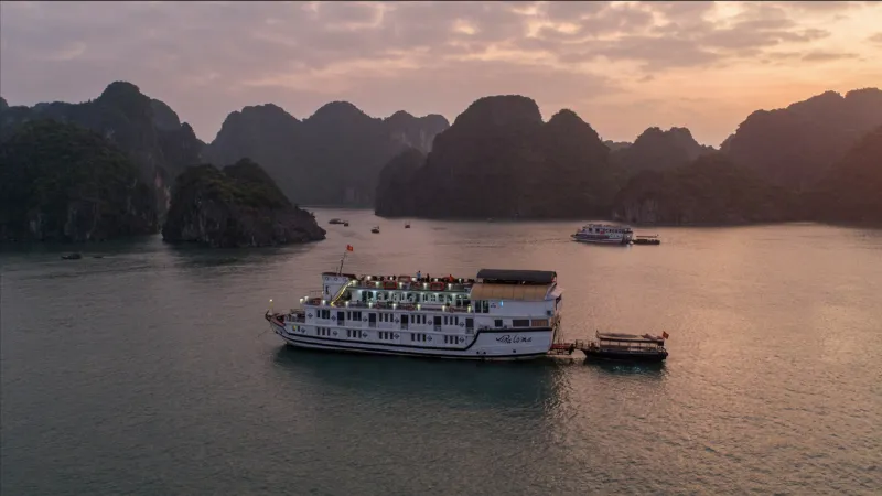 Paloma Cruise Overview