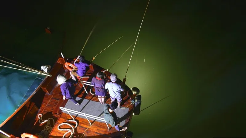 Trying Squid fishing at night