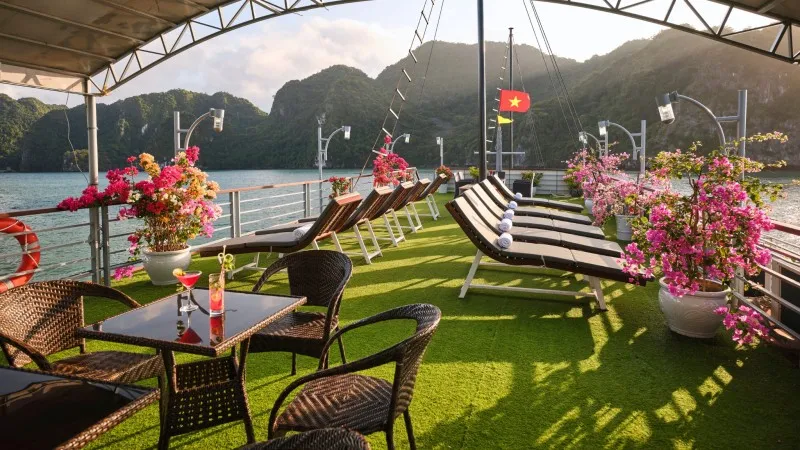 Sundeck with Pretty Ornamental plants