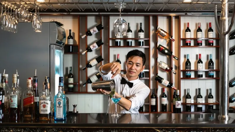 Professional Bartender