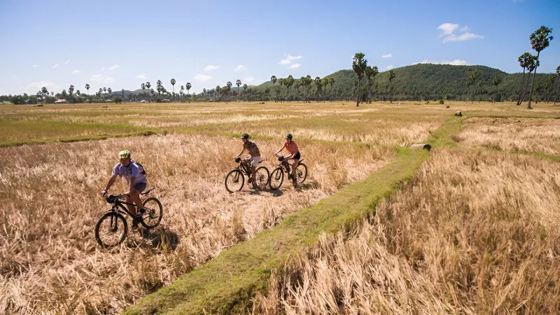 Biking Excursion with Your Fellows
