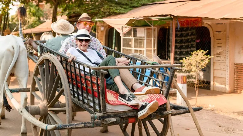Unique Ride on Oxcart
