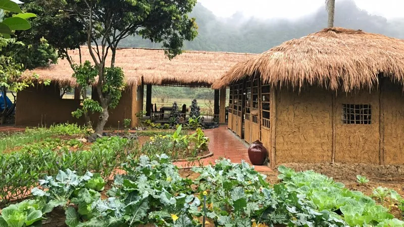 Sightseeing in Viet Hai Village