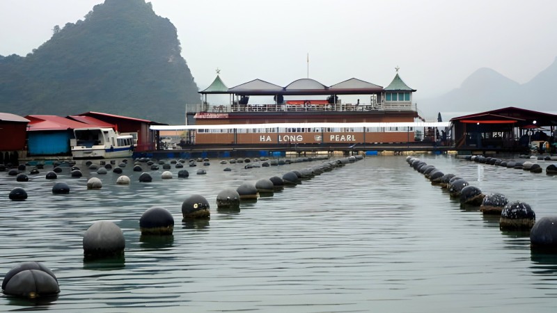 Tung Sau Pearl Farm is one of Vietnam’s largest pearl production centers.