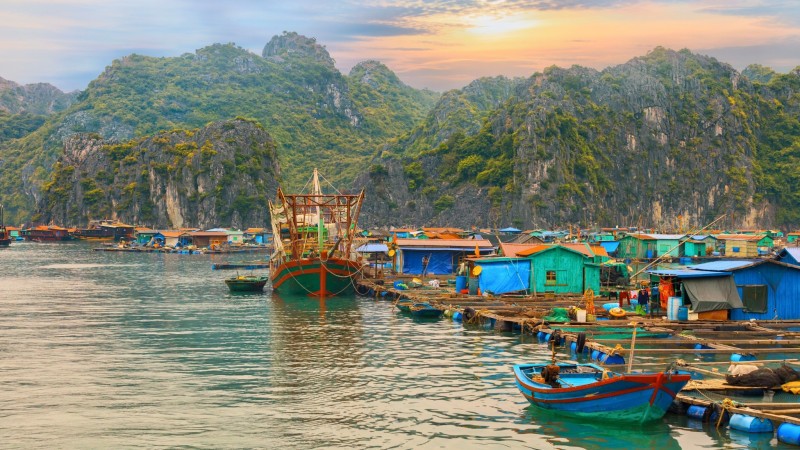 Cai Beo is home to a unique community whose entire way of life unfolds on the water.