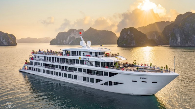 Aime'e Cruise