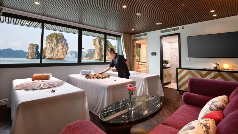 Premium Wellness Treatments