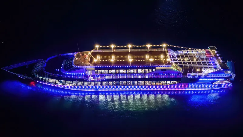 Paradise Delight at Night