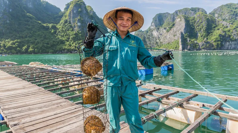 Meet locals at Pearl Farm
