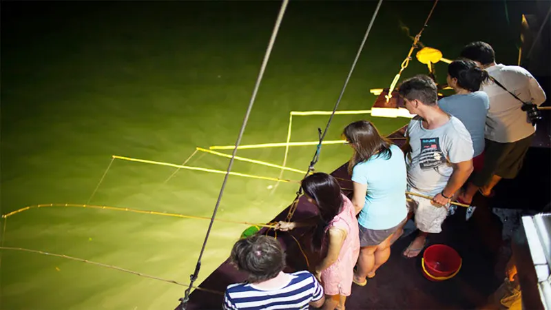 Night Fishing On Board Of Calypso Cruise