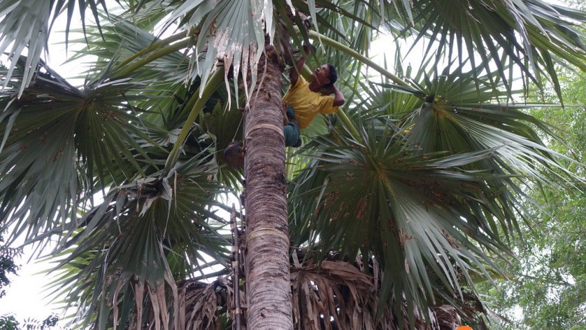 Shwe Pyi Thar Village