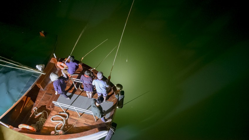 Squid fishing at night