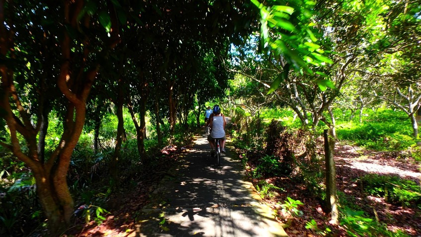 Cycling in the lush garden
