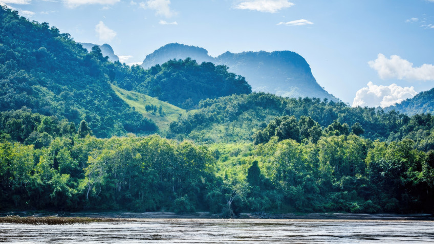 Natural beauty of the Mekong Delta