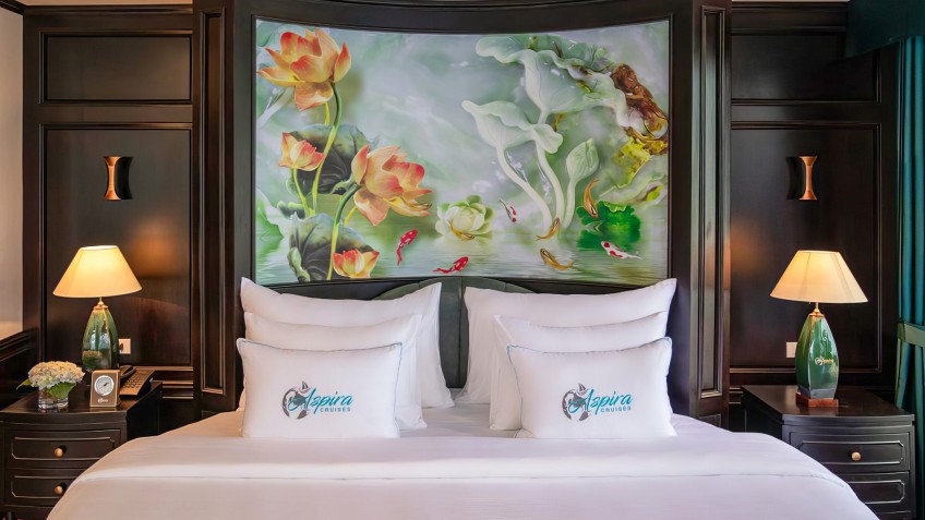 Aspira Cruises: Gorgeous Wall-art