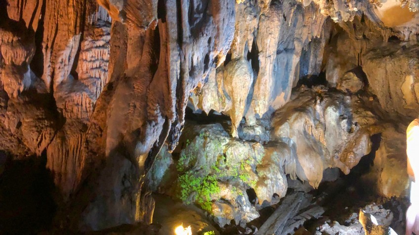 La Regina Legend Cruise: Amazing Stalactites in Trung Trang Cave