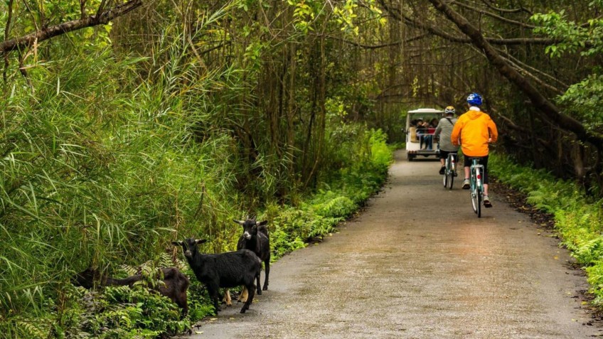 Le Theatre Cruise: Pretty Cycling Route