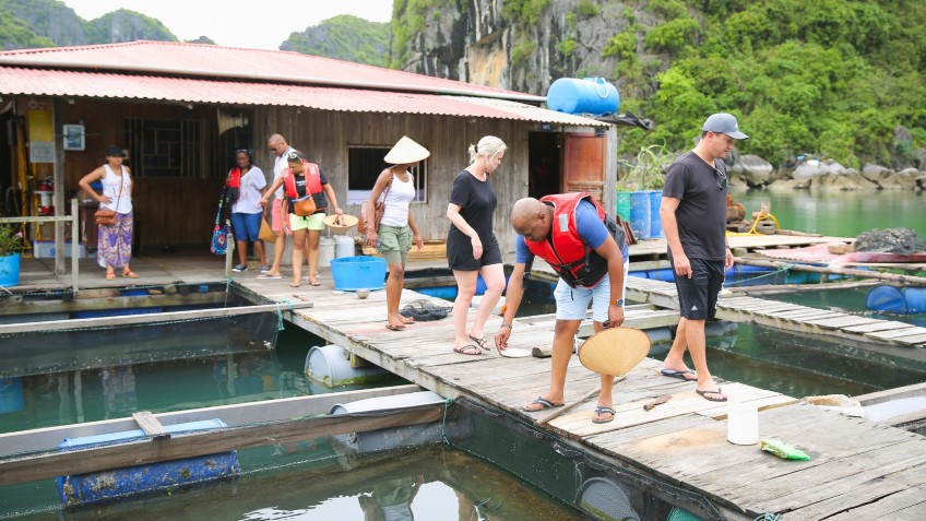 Paradise Grand Cruise: Learn about fish in Halong Bay