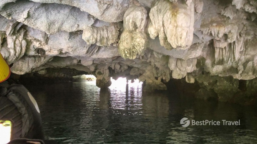 MilaLux Cruise: Inside the Dark And Bright Cave