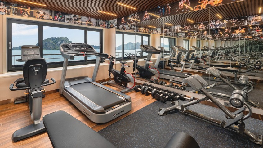 Calista Cruise: Gym room with Ocean view