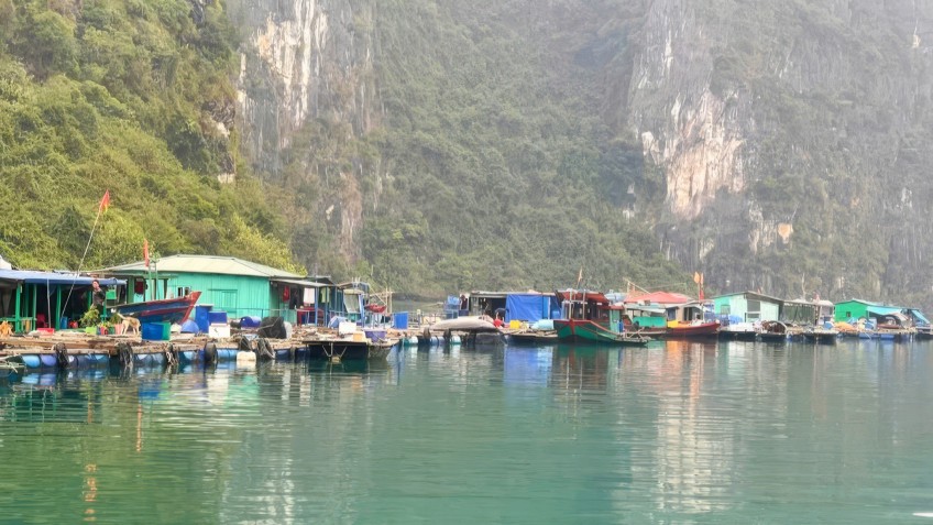 Catherine Cruise: Visit floating village
