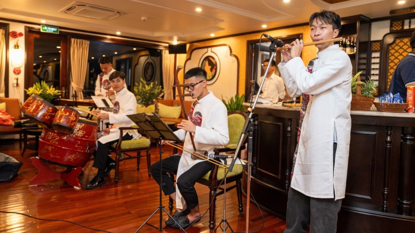 Cycad Cruise: Listen to Folk Performance