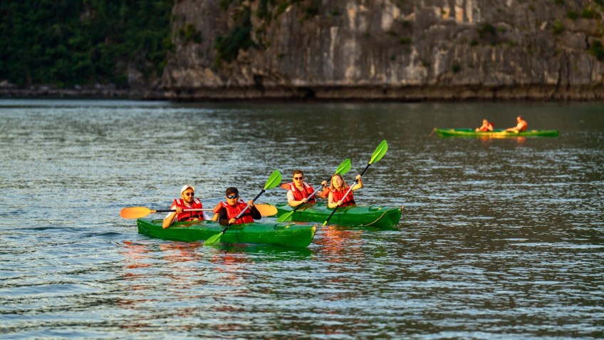 Cycad Cruise: Kayaking in the bay