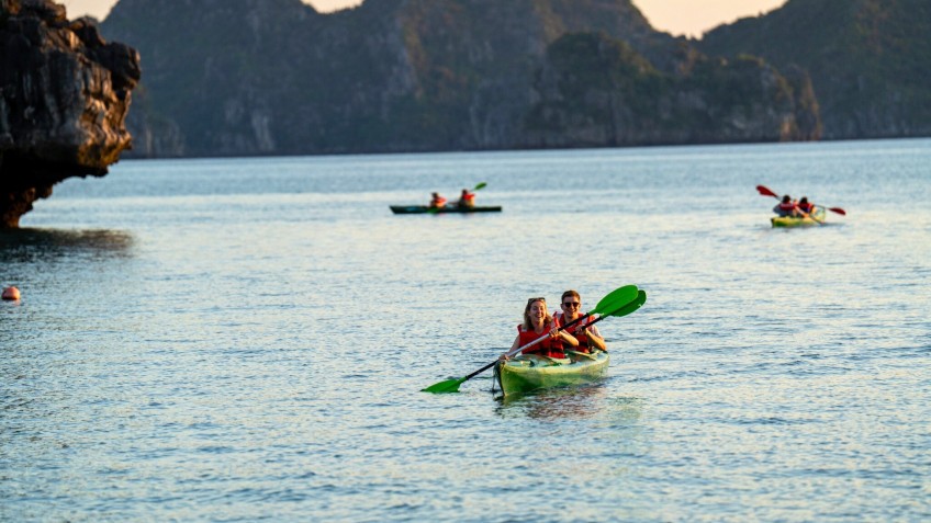 Cycad Cruise: Explore the nature wonder