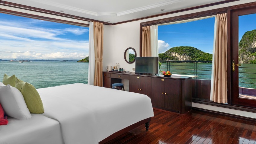 Cycad Cruise: Panoramic View