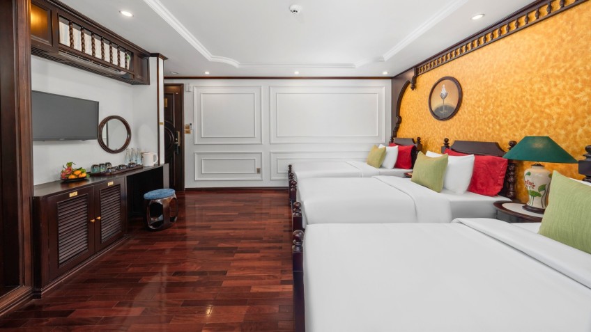 Cycad Cruise: Spacious Room