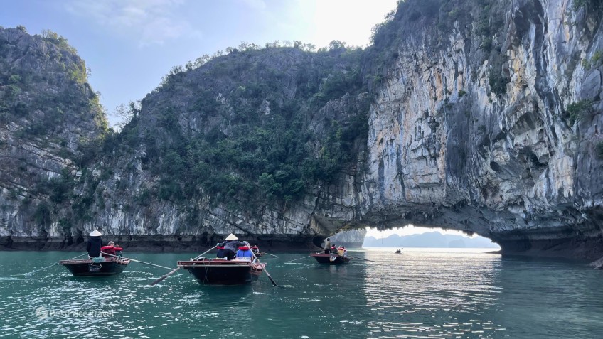 Cycad Cruise: Magnificent Landscape