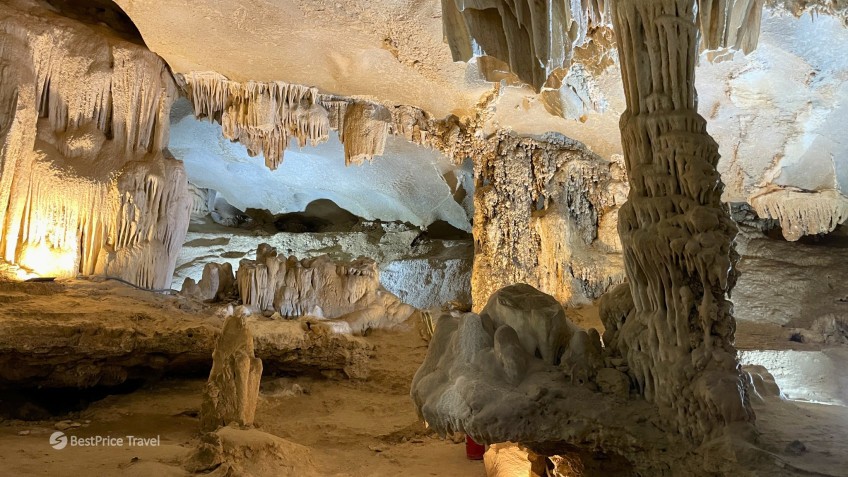 Cycad Cruise: Unique Stalagtites & Stalagmites