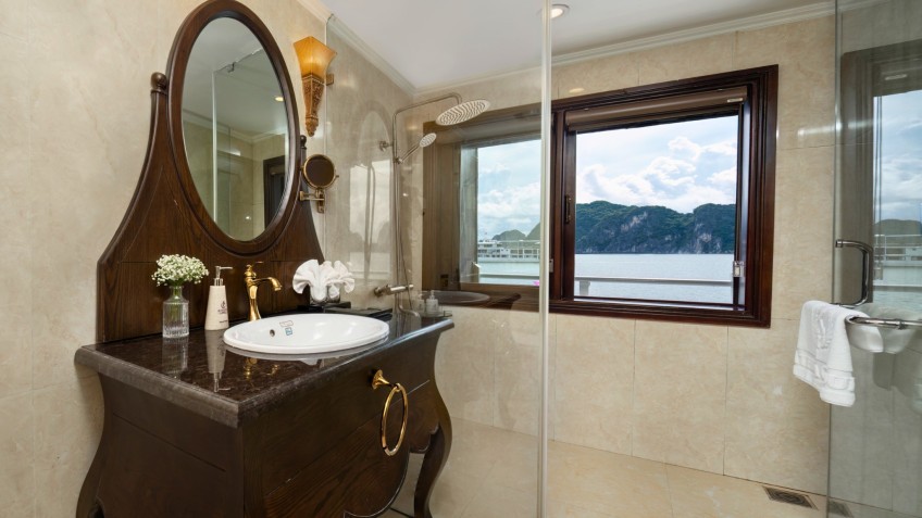 Athena Luxury Cruise: Bathroom with Standing Shower